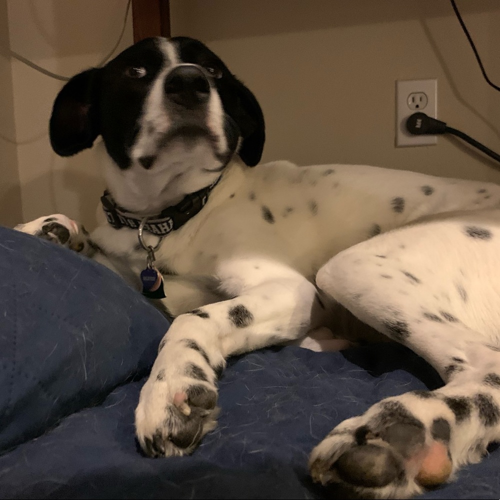 Meet your Posher, Eliot